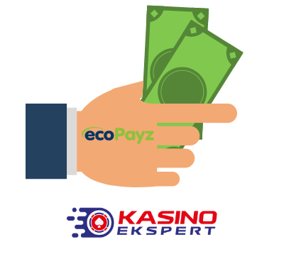 Ecopayz på Casino